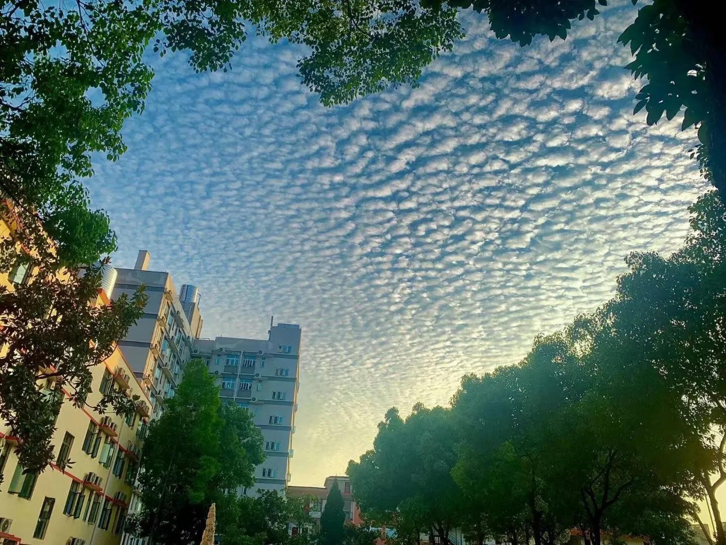 毕业进国企，福利好，待遇高；bwin必赢国际中国官方网站学生很“清高”